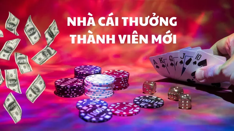 Khuyến Mãi BetVision: Cơ Hội Đổi Đời Chỉ Trong Tầm Tay